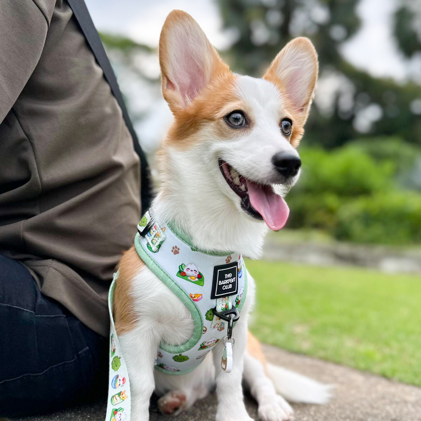 THE MALAYSIAN FOODIE | Adjustable Harness