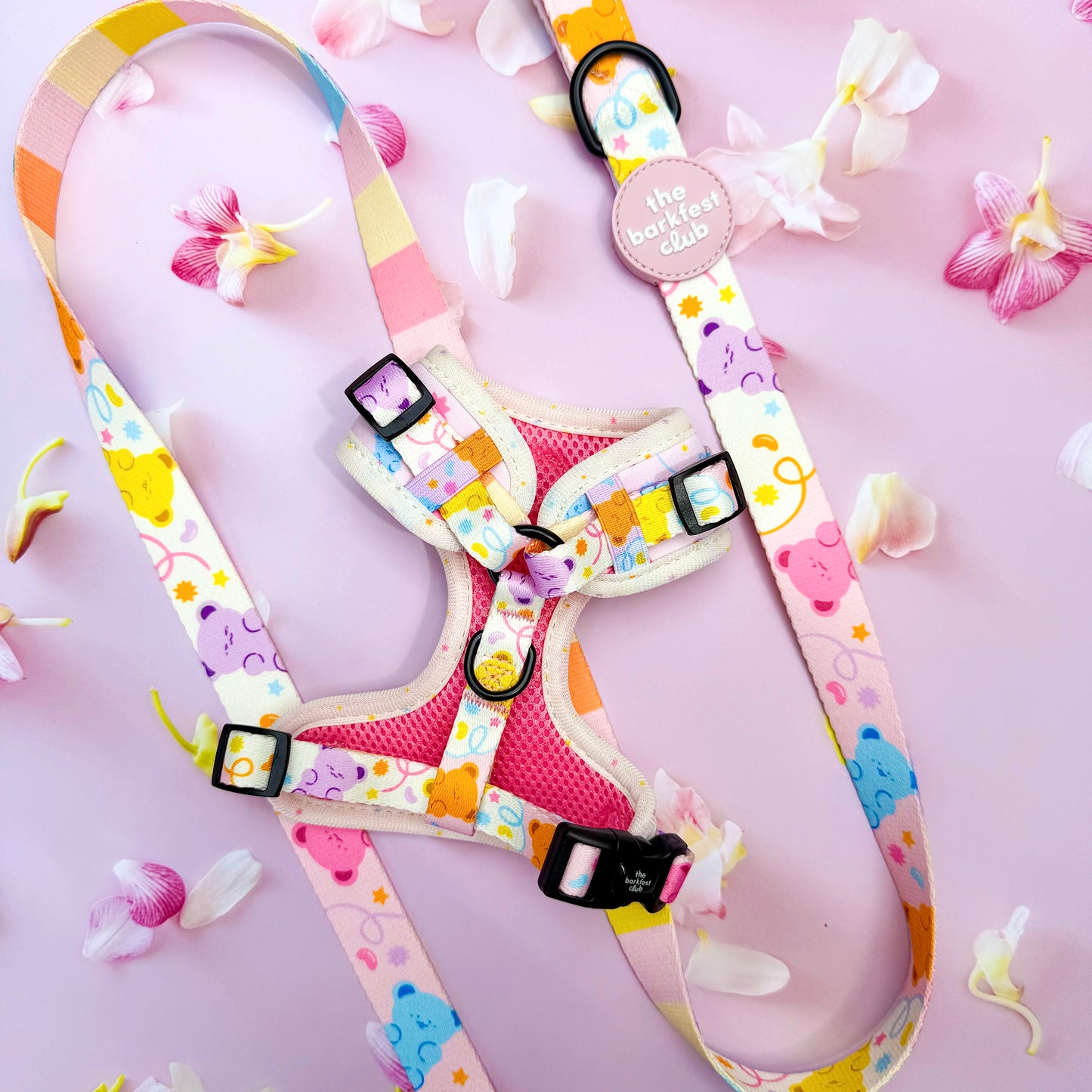 GUMMY PAWS | Leash