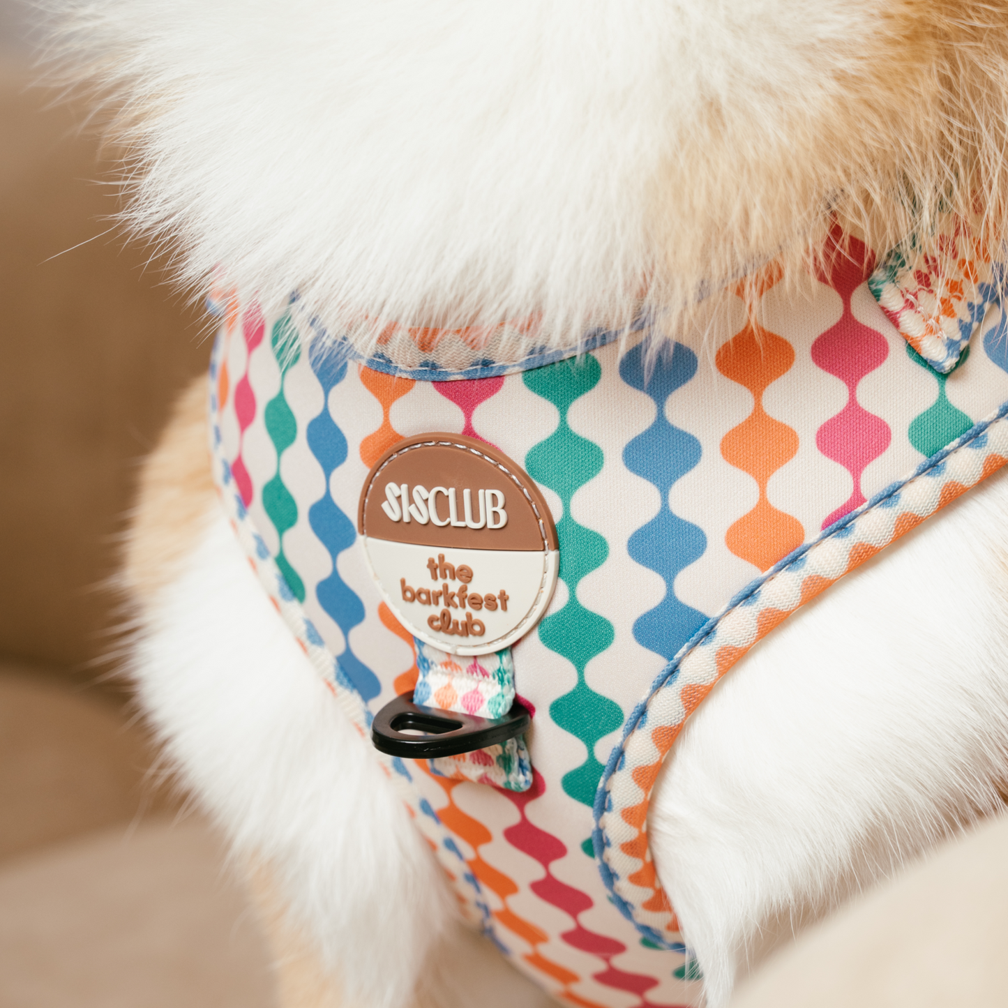 CÉLESTE - SISCLUB x The Barkfest Club | Bundle