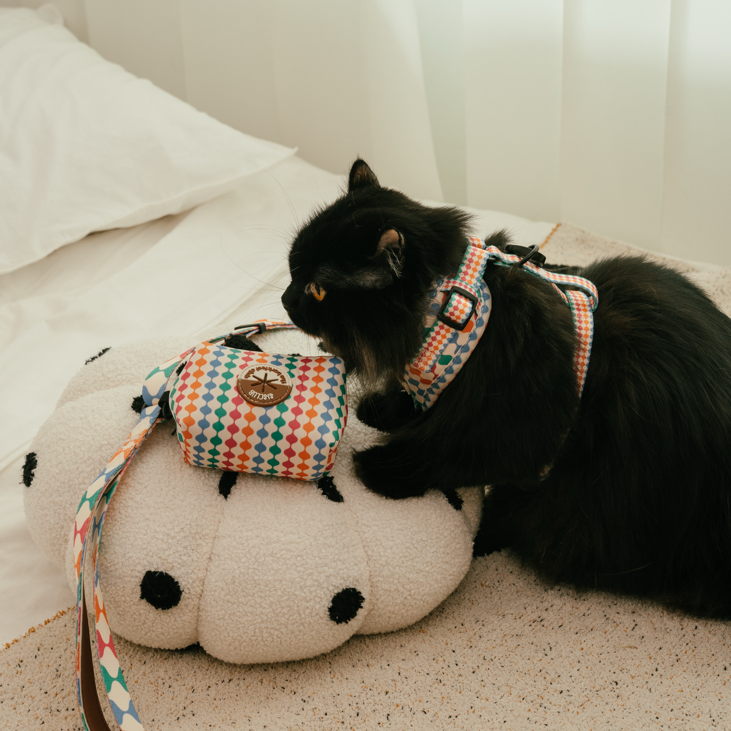 CÉLESTE - SISCLUB x The Barkfest Club | Bundle