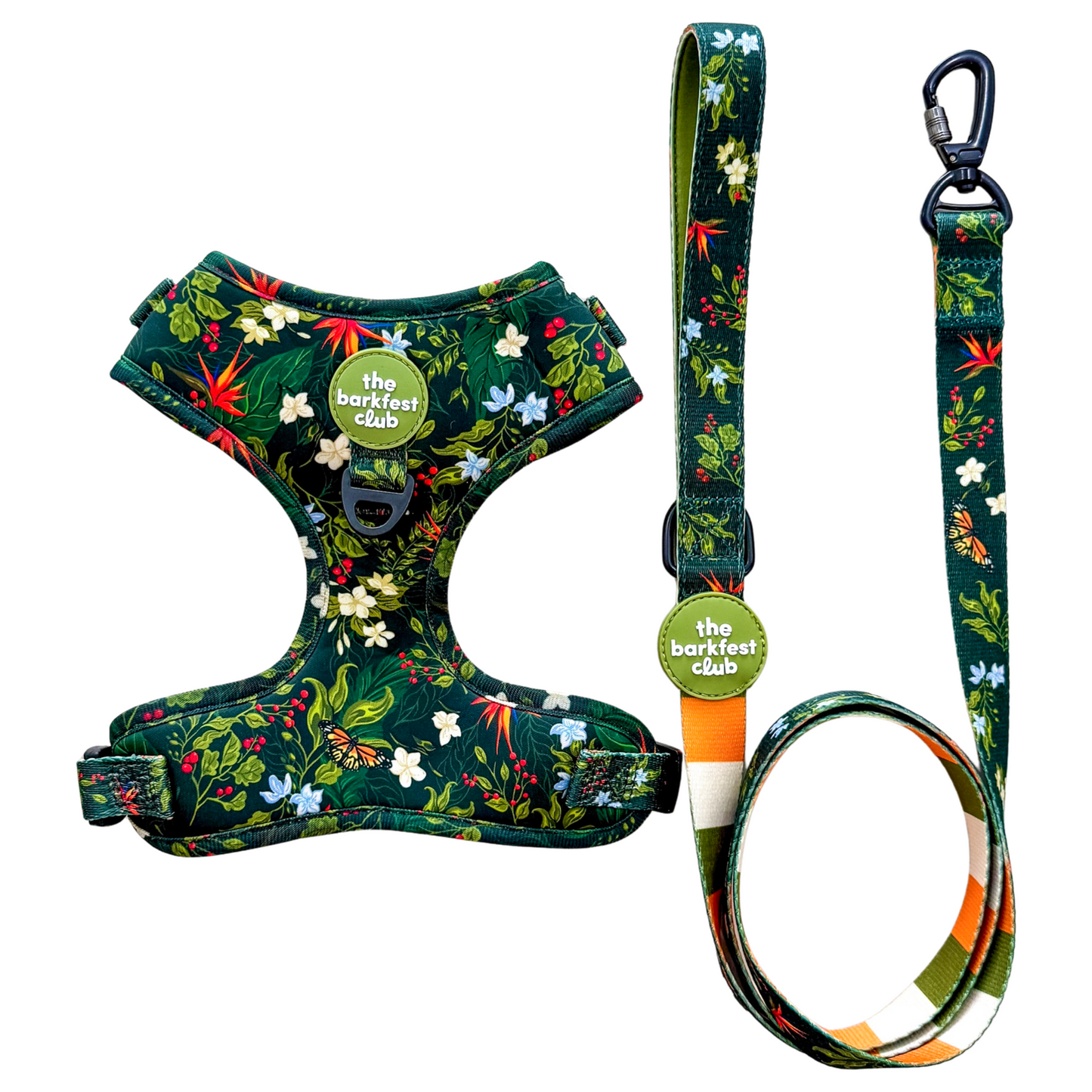 WILD FOREST | Bundle