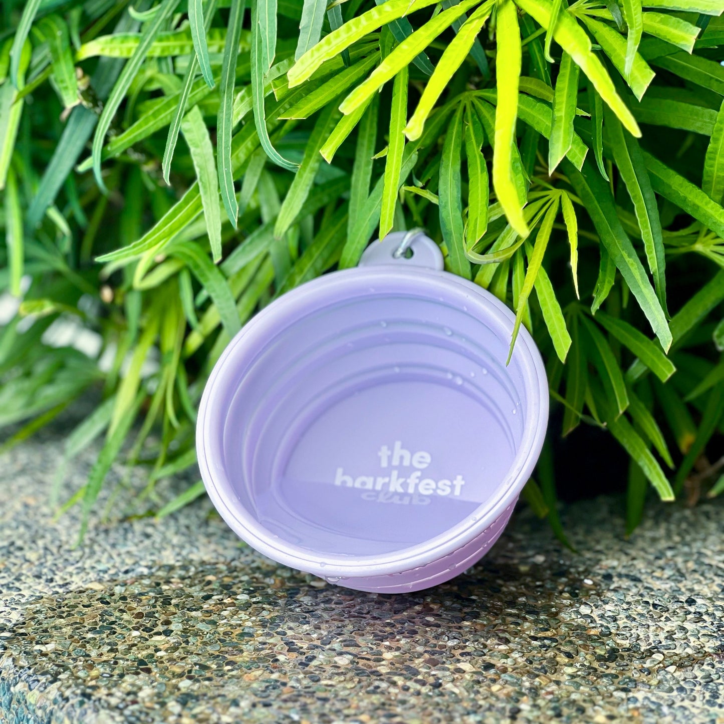 SIP & SLURP BOWL