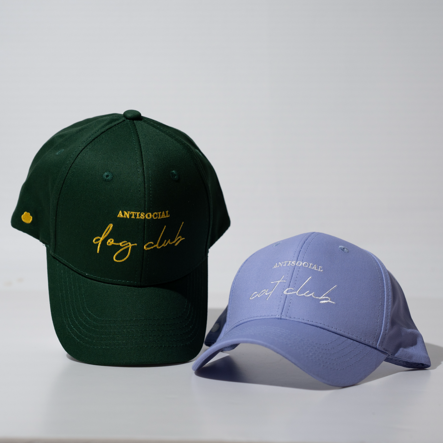 ANTISOCIAL CAT CLUB | Cap