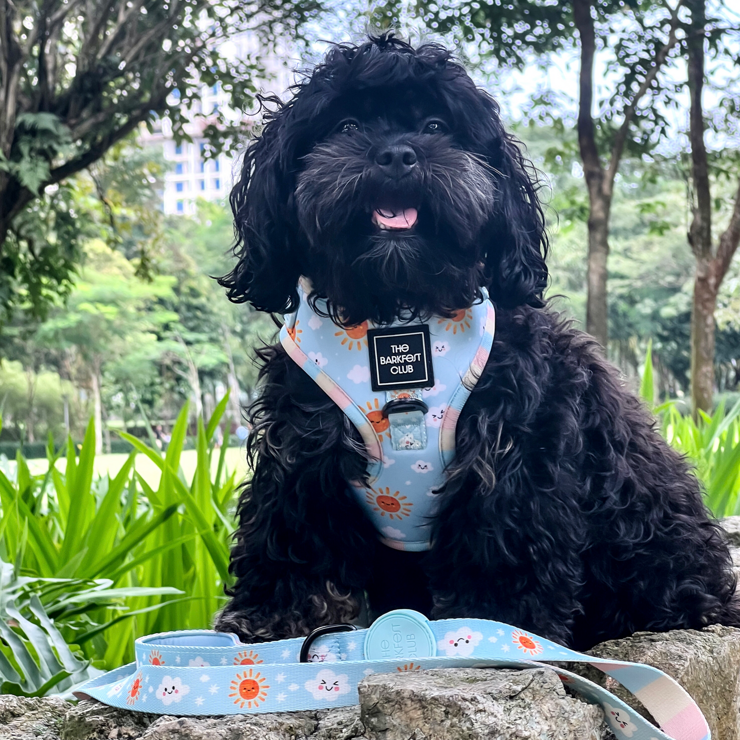 SUNNY-SIDE PUP | Adjustable Harness