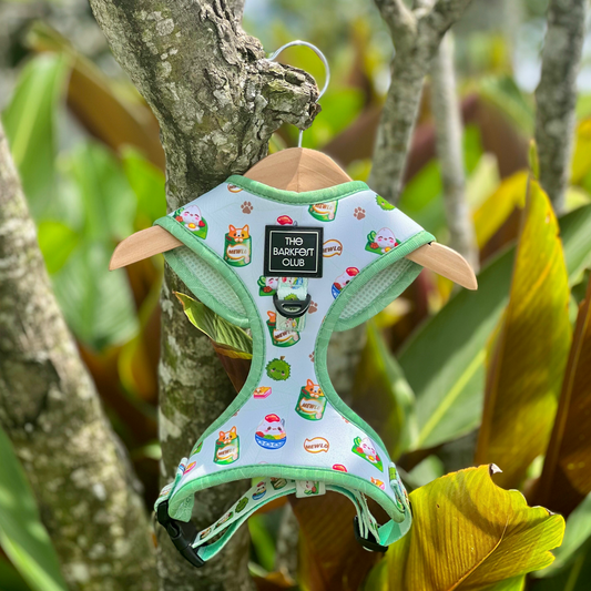 THE MALAYSIAN FOODIE | Adjustable Harness