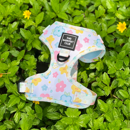 SPRING BLOSSOM | Adjustable Harness