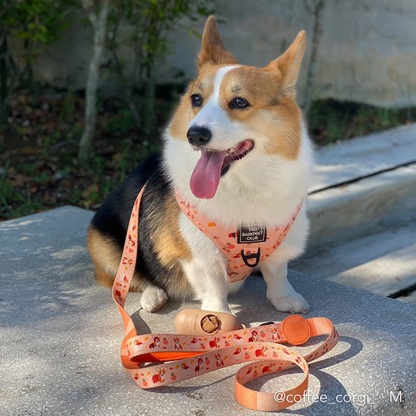 PEACHY BUTT CORGI | Adjustable Harness