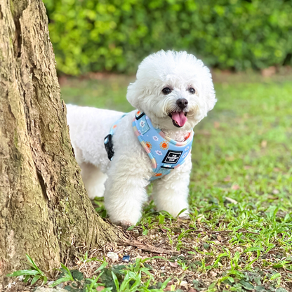 SUNNY-SIDE PUP | Adjustable Harness