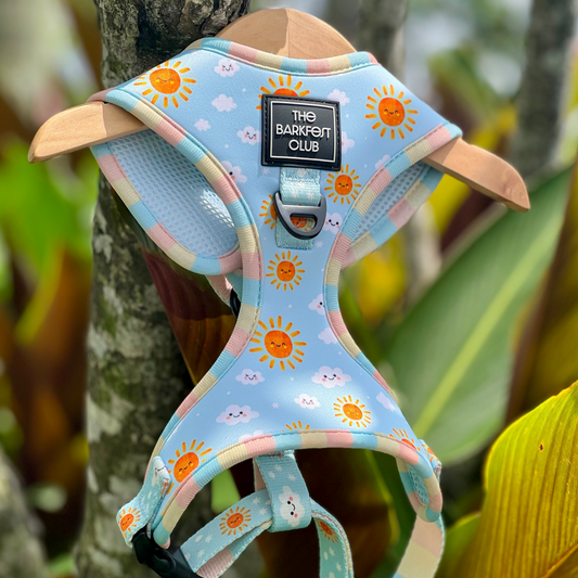 SUNNY-SIDE PUP | Adjustable Harness