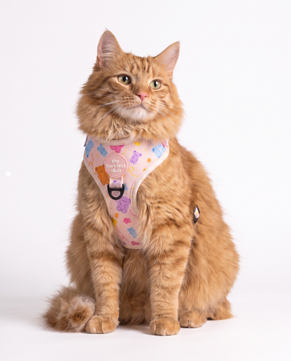 GUMMY PAWS | Adjustable Harness