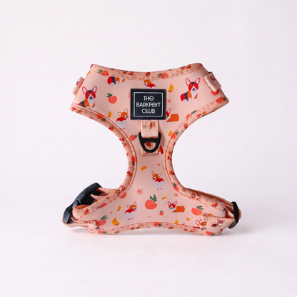 PEACHY BUTT CORGI | Adjustable Harness