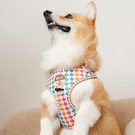 CÉLESTE - SISCLUB x The Barkfest Club | Bundle