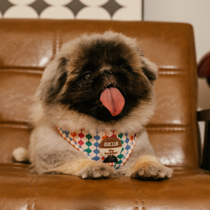 CÉLESTE - SISCLUB x The Barkfest Club | Bundle