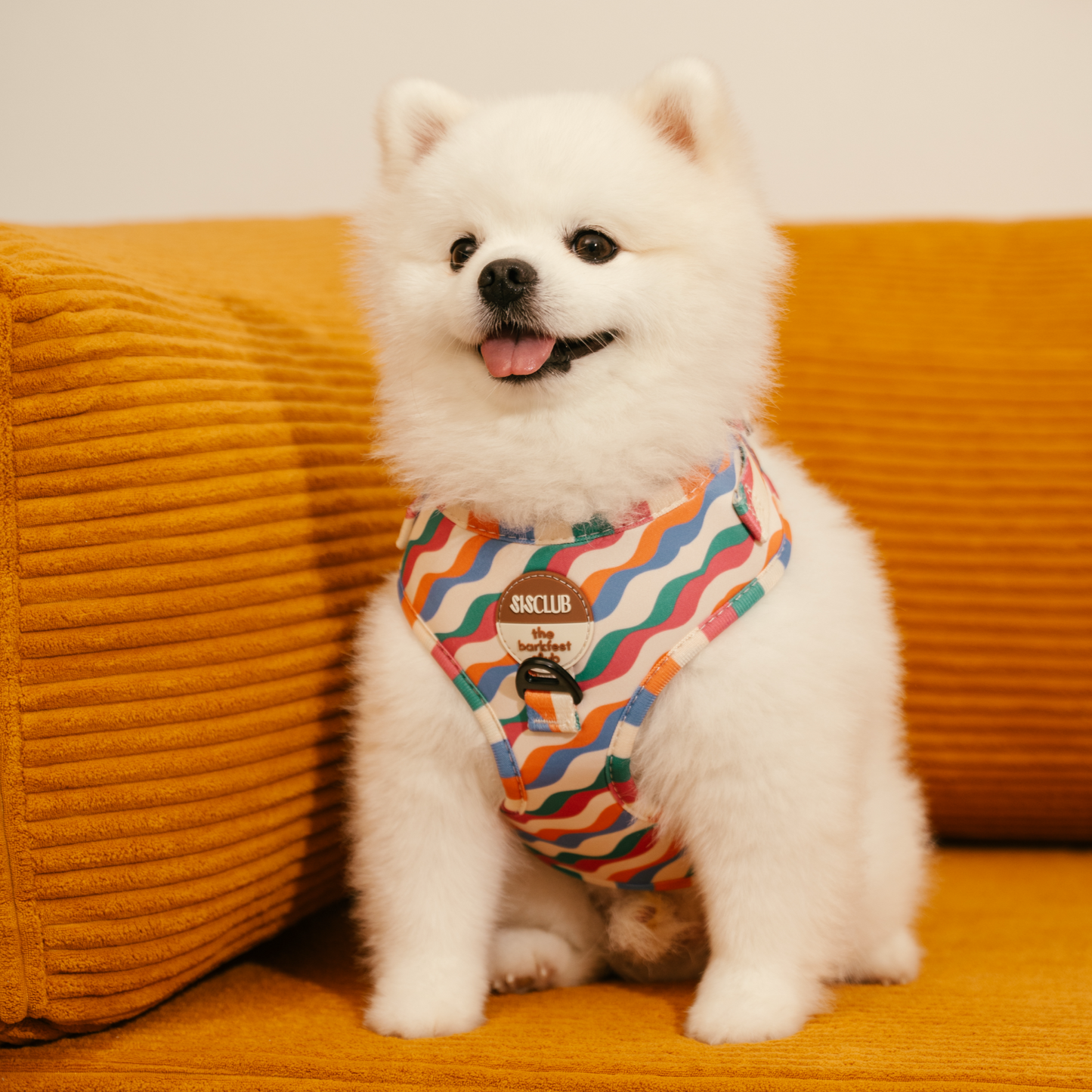 CHÉRIE - SISCLUB x The Barkfest Club | Bundle