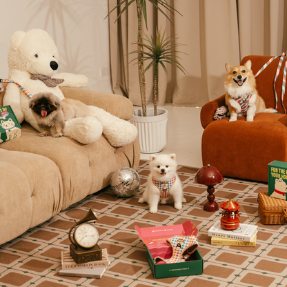 CHÉRIE - SISCLUB x The Barkfest Club | Bundle