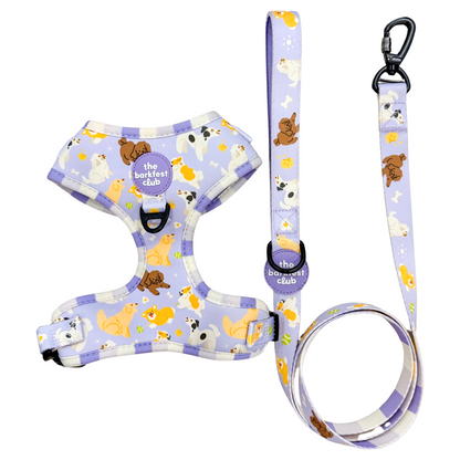 PAW BUDDIES  | Bundle