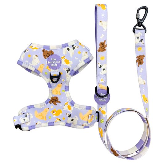 PAW BUDDIES  | Bundle