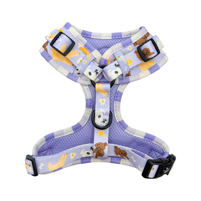 PAW BUDDIES  | Adjustable Harness