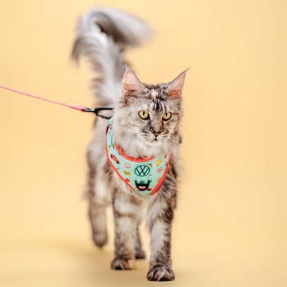 FUREVER IN STYLE - Volkswagen x The Barkfest Club | Adjustable Harness