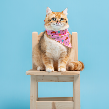 FUREVER IN STYLE - Volkswagen x The Barkfest Club | Bib