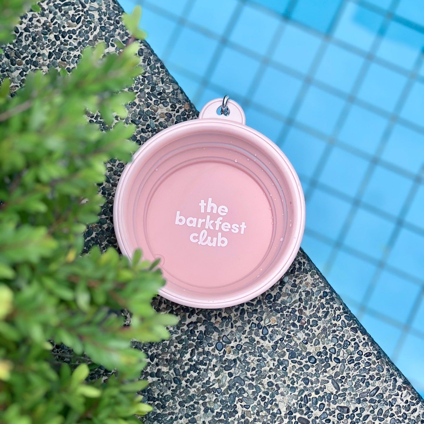 SIP & SLURP BOWL