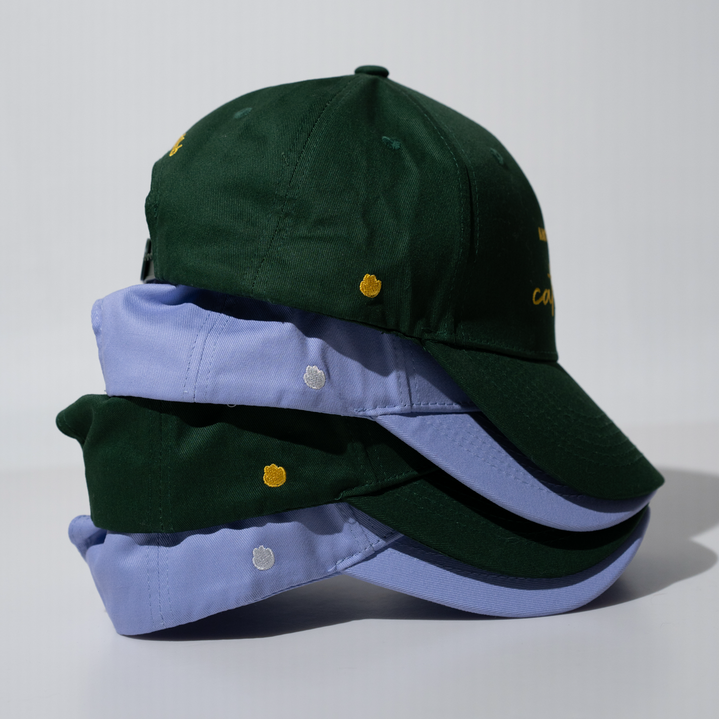 ANTISOCIAL DOG CLUB | Cap