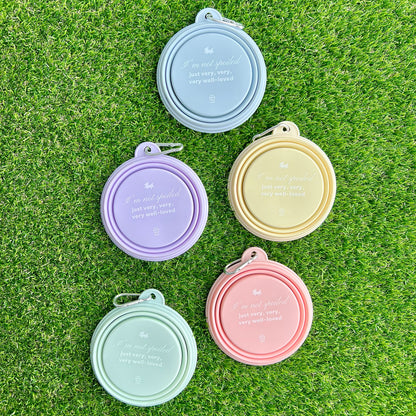 SIP & SLURP BOWL