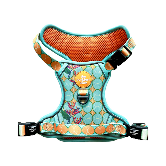 SKY OF PARADISE | Adventure Harness