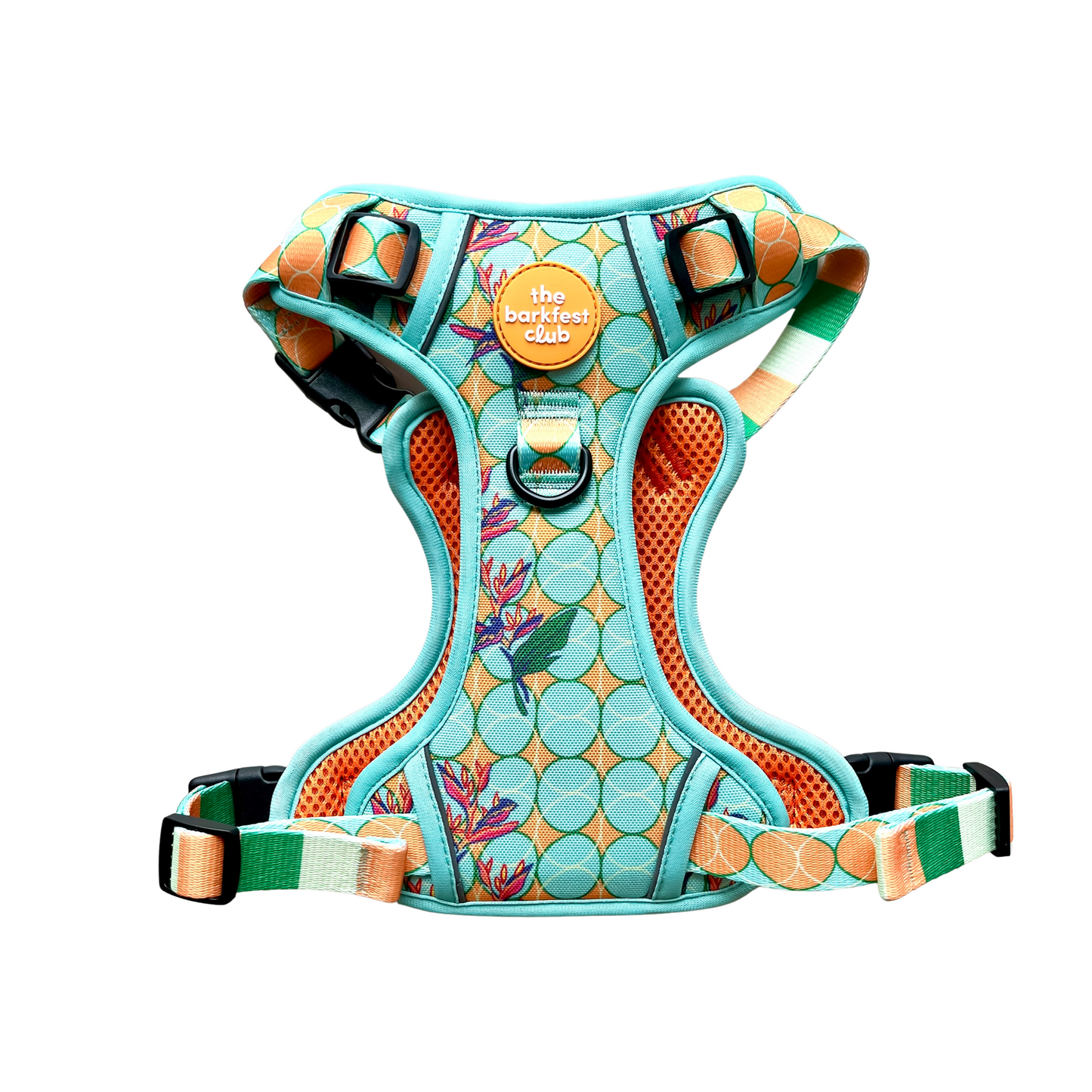 SKY OF PARADISE | Adventure Harness