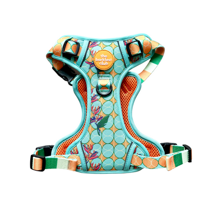 SKY OF PARADISE | Adventure Harness