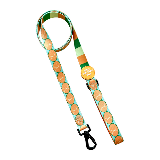 SKY OF PARADISE | Leash