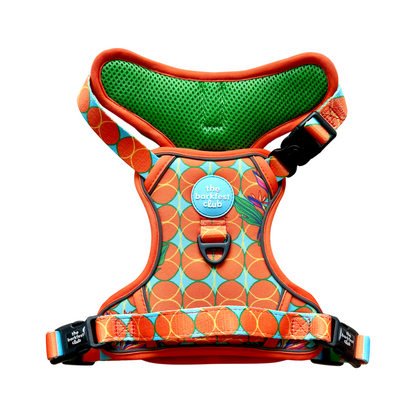 BIRD OF PARADISE | Adventure Harness