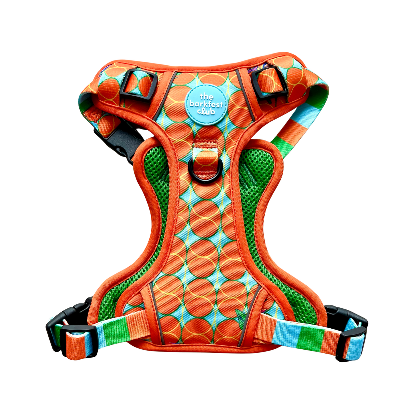 BIRD OF PARADISE | Adventure Harness