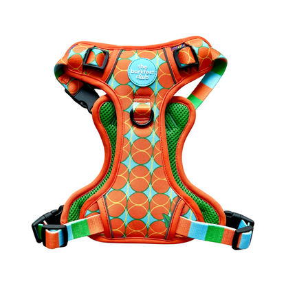 BIRD OF PARADISE | Adventure Harness