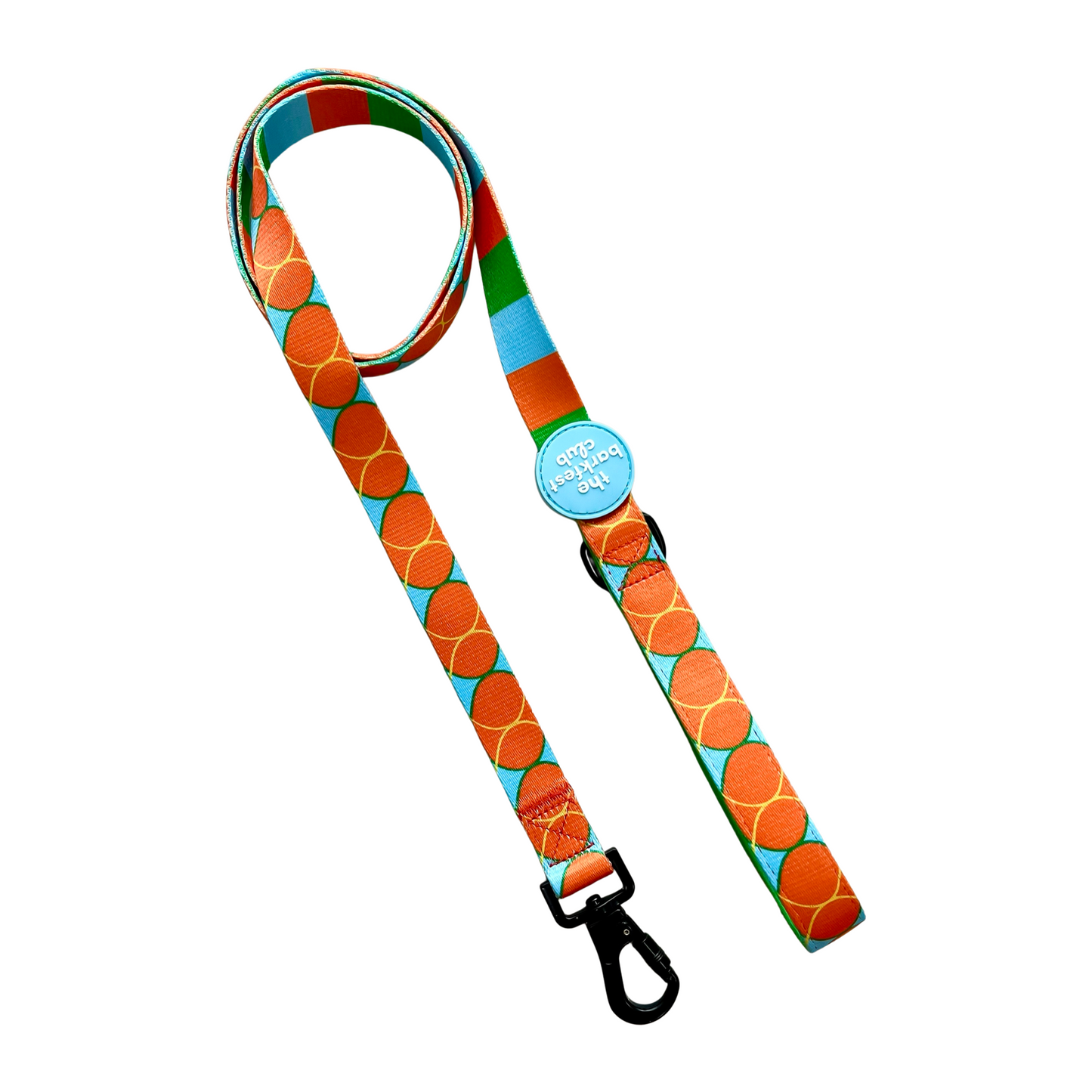 BIRD OF PARADISE | Leash