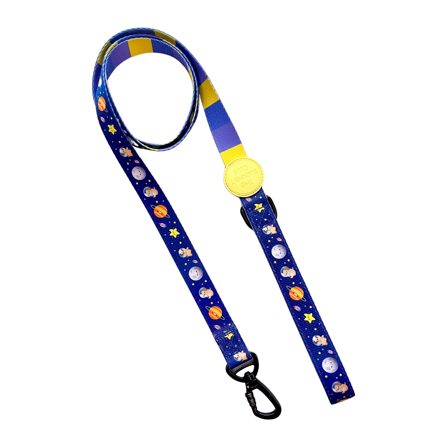 PUP, PUP & AWAY | Leash