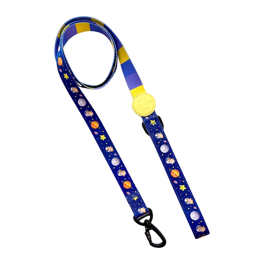 PUP, PUP & AWAY | Leash