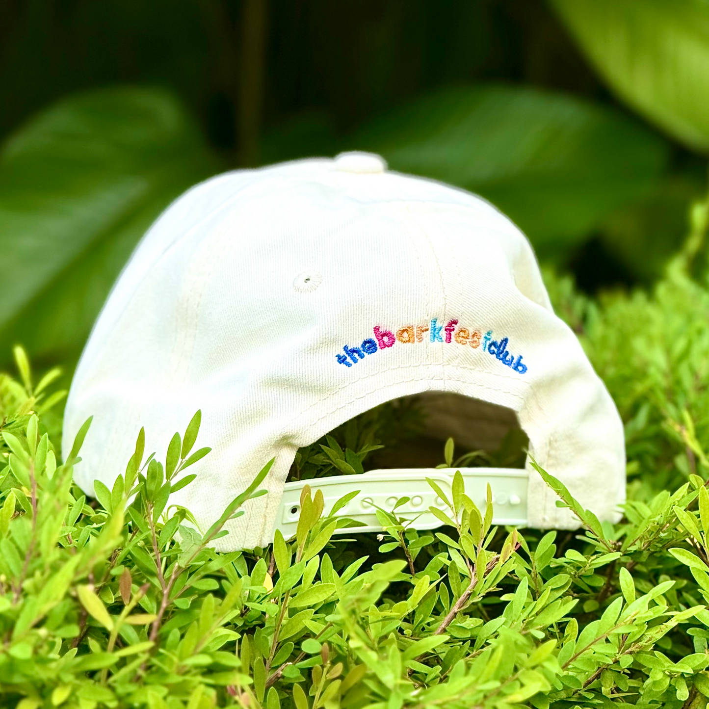 COOL DOG MOM CLUB | Cap