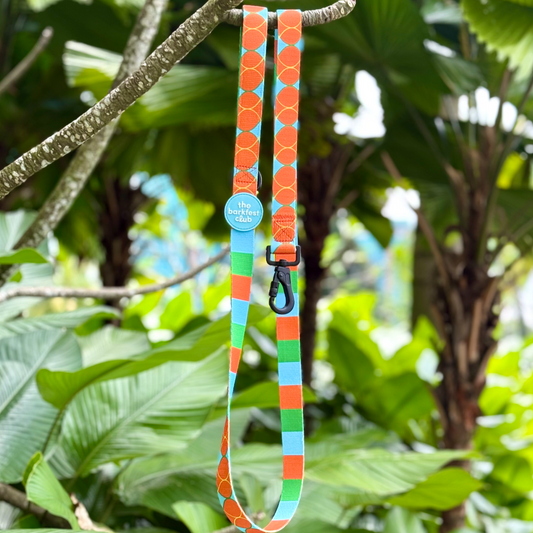 BIRD OF PARADISE | Leash
