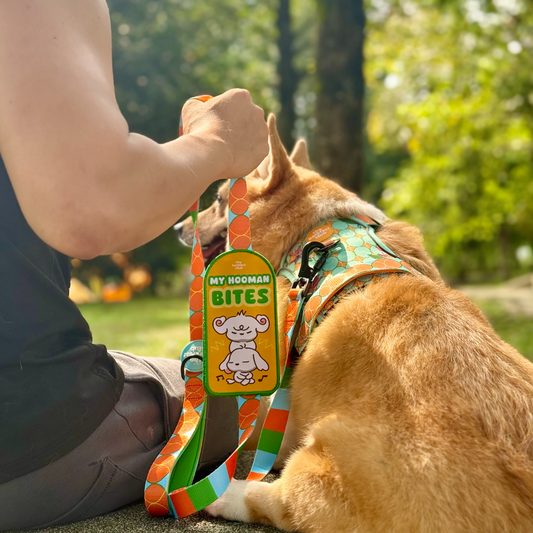 MY HOOMAN BITES| Attachable Patch (M)