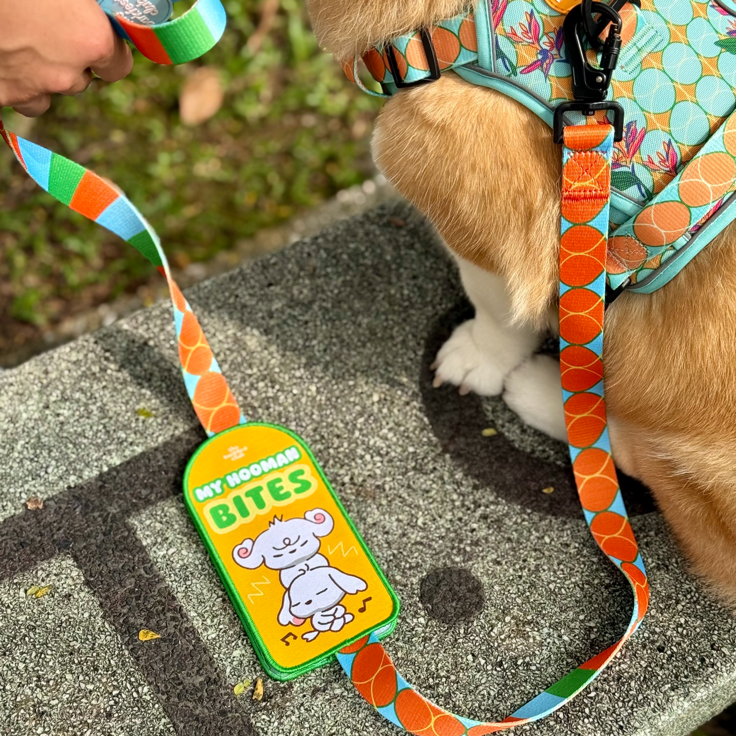MY HOOMAN BITES| Attachable Patch (M)