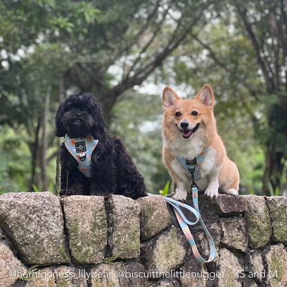SUNNY-SIDE PUP | Adjustable Harness