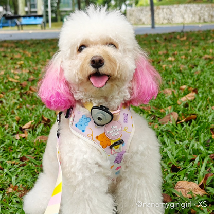 GUMMY PAWS | Adjustable Harness