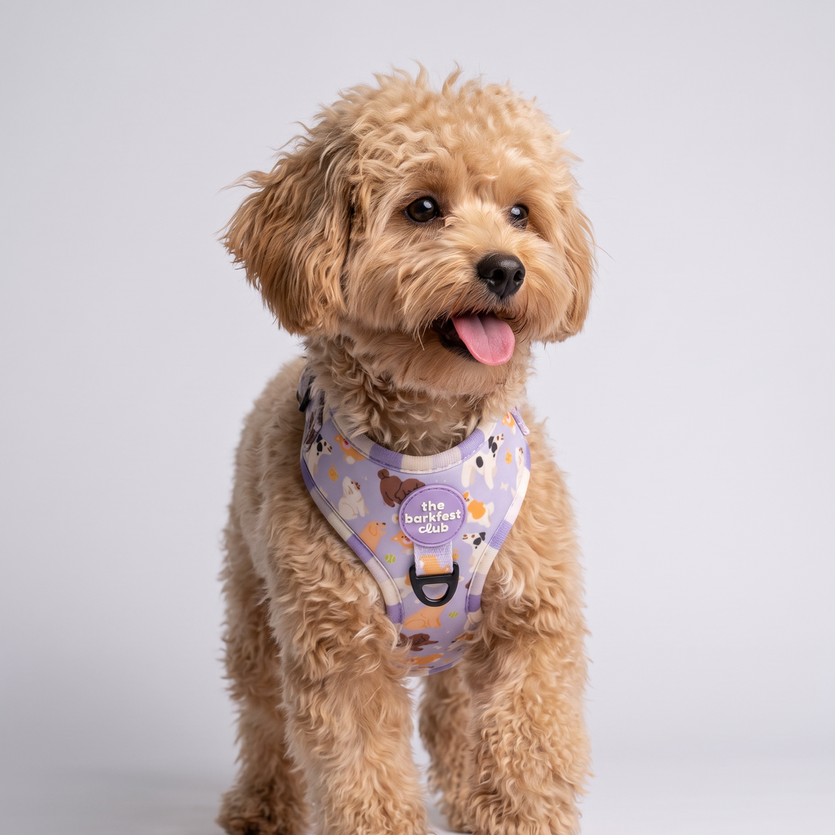 PAW BUDDIES  | Adjustable Harness
