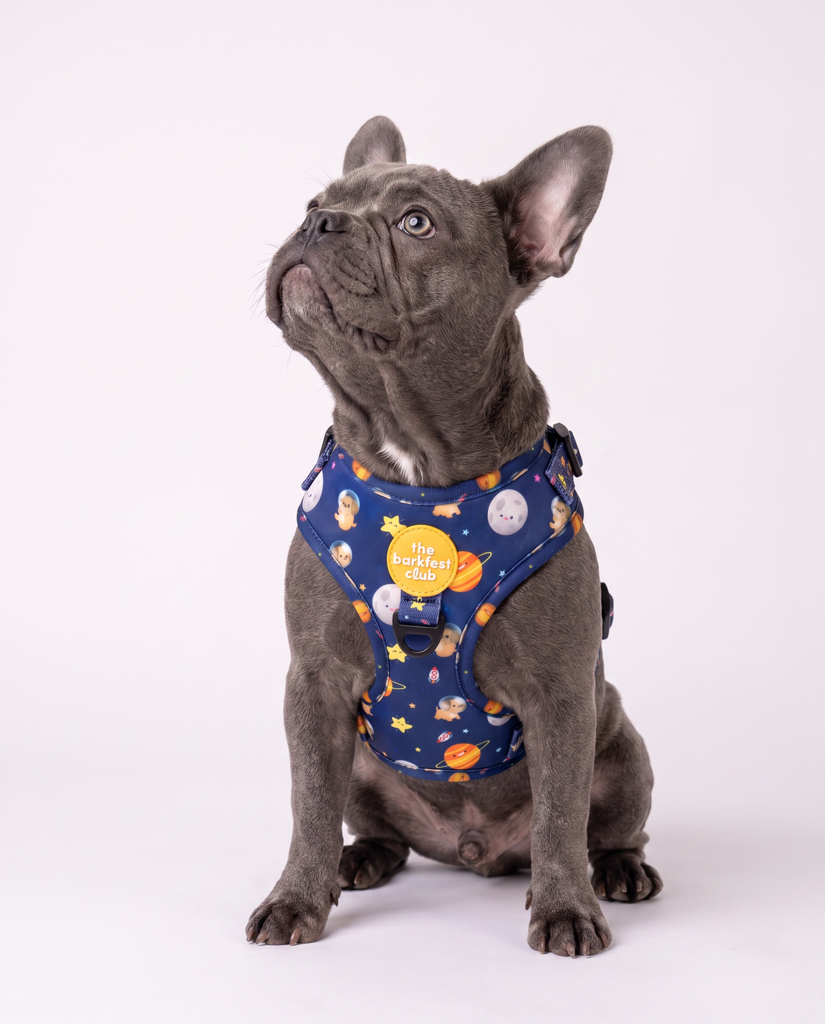 PUP, PUP & AWAY | Adjustable Harness