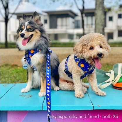 PUP, PUP & AWAY | Adjustable Harness