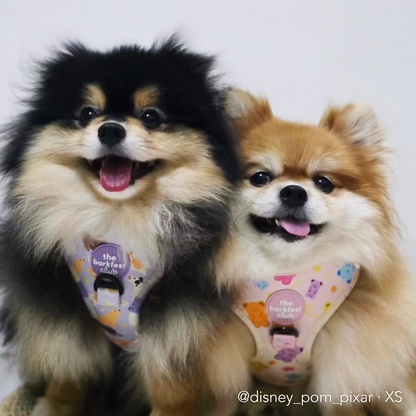 GUMMY PAWS | Adjustable Harness