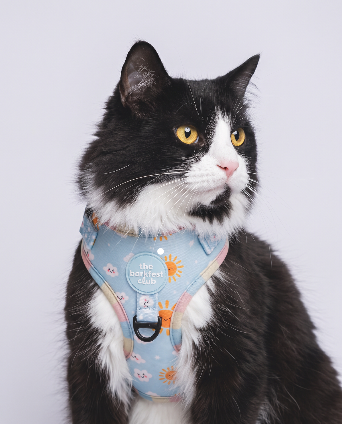 SUNNY-SIDE PUP | Adjustable Harness