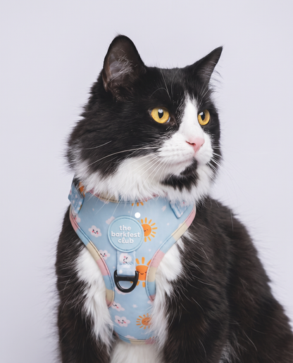 SUNNY-SIDE PUP | Adjustable Harness