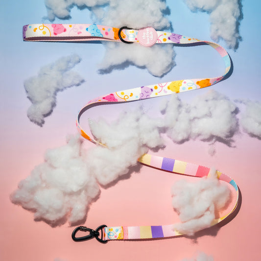 GUMMY PAWS | Leash